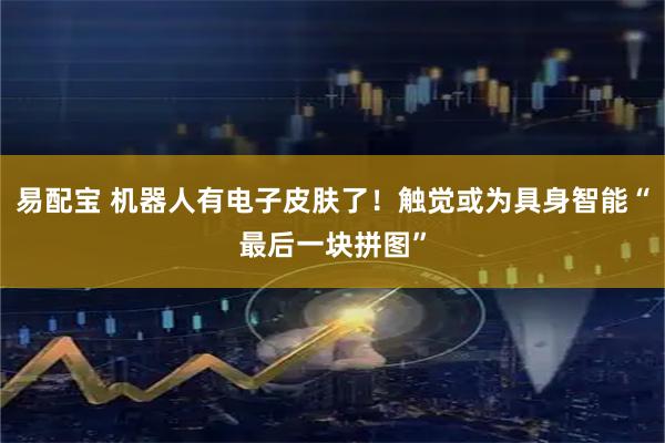 易配宝 机器人有电子皮肤了！触觉或为具身智能“最后一块拼图”