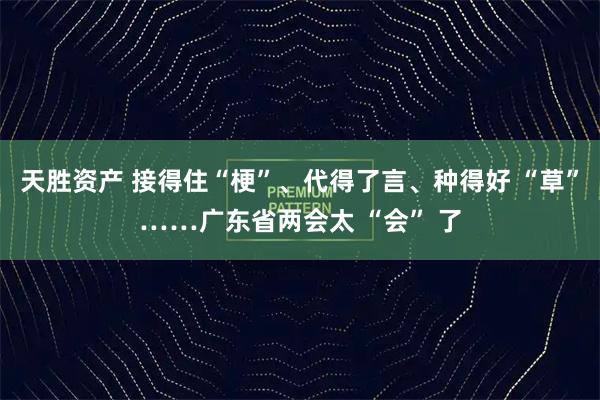 天胜资产 接得住“梗”、代得了言、种得好 “草”……广东省两会太 “会” 了