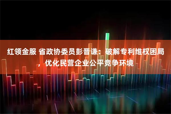 红领金服 省政协委员彭晋谦：破解专利维权困局，优化民营企业公平竞争环境