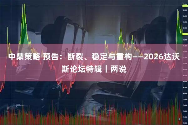 中鼎策略 预告：断裂、稳定与重构——2026达沃斯论坛特辑丨两说