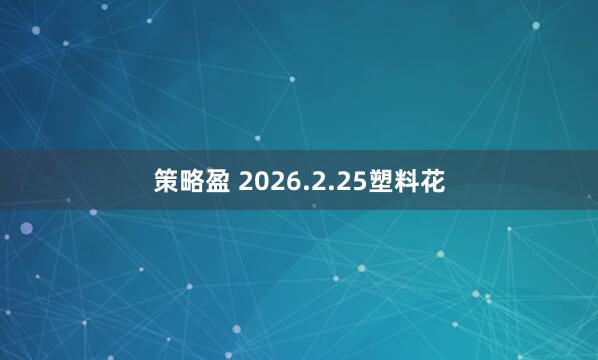 策略盈 2026.2.25塑料花